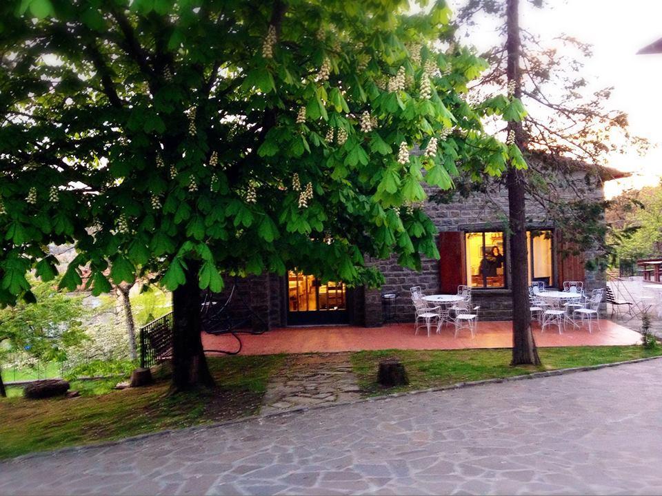 Albergo Ristorante Letizia Chiusi della Verna Ngoại thất bức ảnh